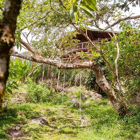Ecofinca Fuente Alegre Cocorna Exterior photo