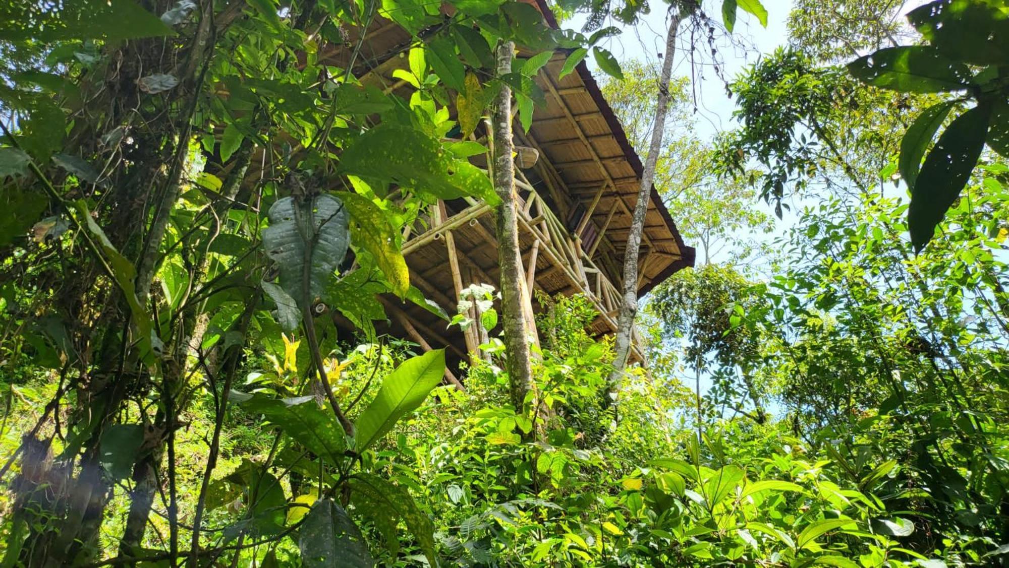 Ecofinca Fuente Alegre Cocorna Exterior photo
