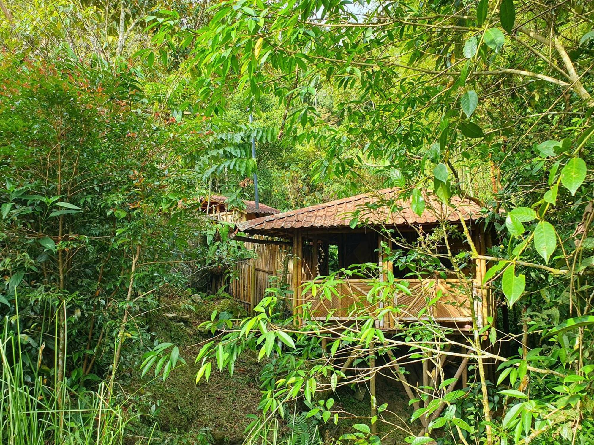 Ecofinca Fuente Alegre Cocorna Room photo